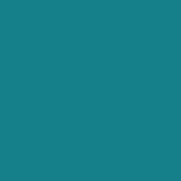 RAL 210 50 25