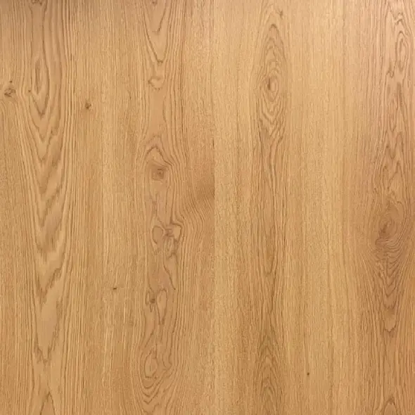 باركيه بلجيكي بيج